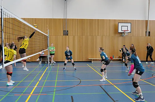 U16 BM