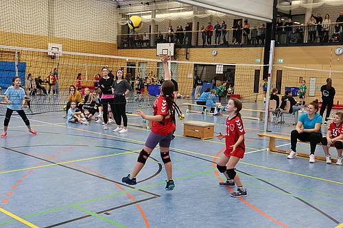 NB U12w