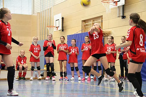 2. Schlappencup