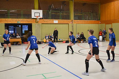 VG3
