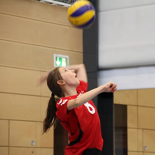 2. Schlappencup