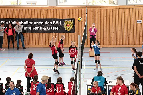 U13 NB