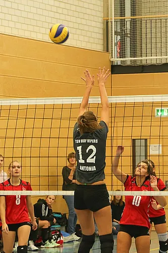 VG