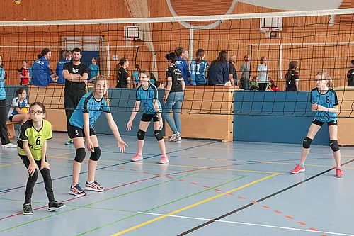 U13 NB