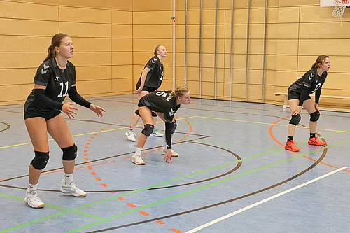 U20 U16 U12