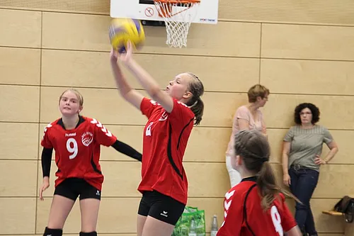 2. Schlappencup