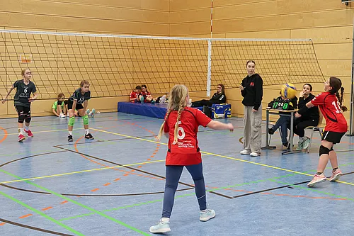 NB U12w