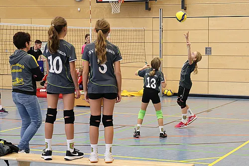 NB U12w