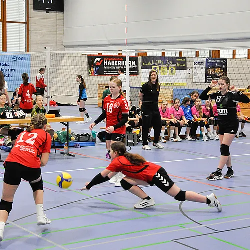 U13 NB