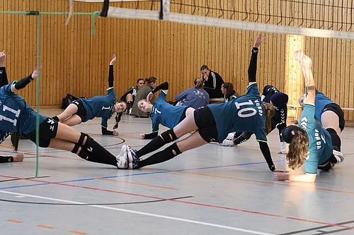 VG3