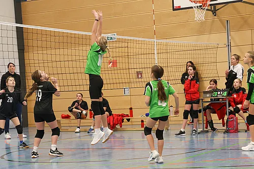 U12 OM