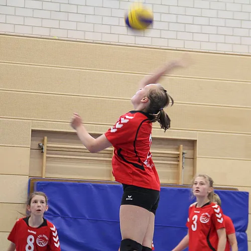 2. Schlappencup