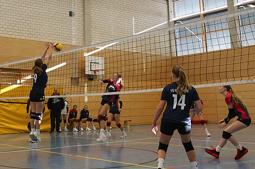 U18 OM