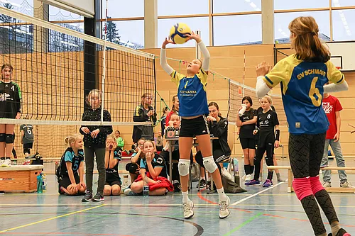 NB U12w