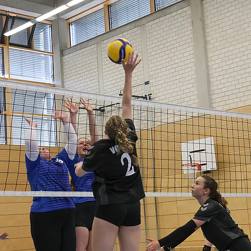 U20 U16 U12
