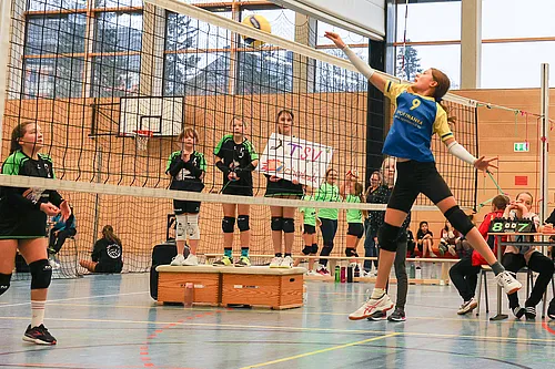NB U12w
