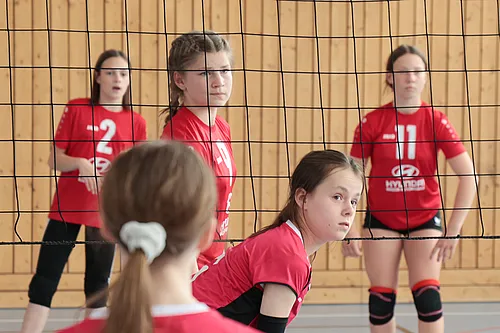 U13 NB